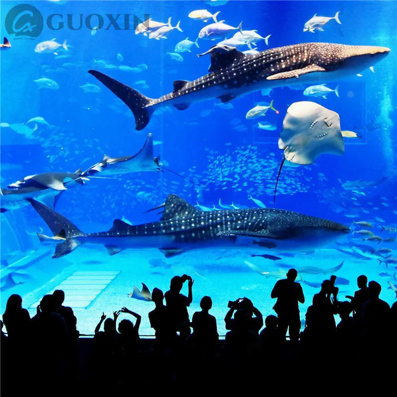 Jumbo Size Glass (10)